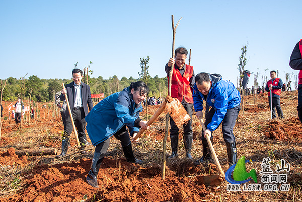 我县开展2026年全民义务植树活动.jpg