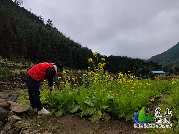 汇源瑶族乡扎实开展禁种铲毒专项行动 筑牢无毒平安乡村防线.jpg