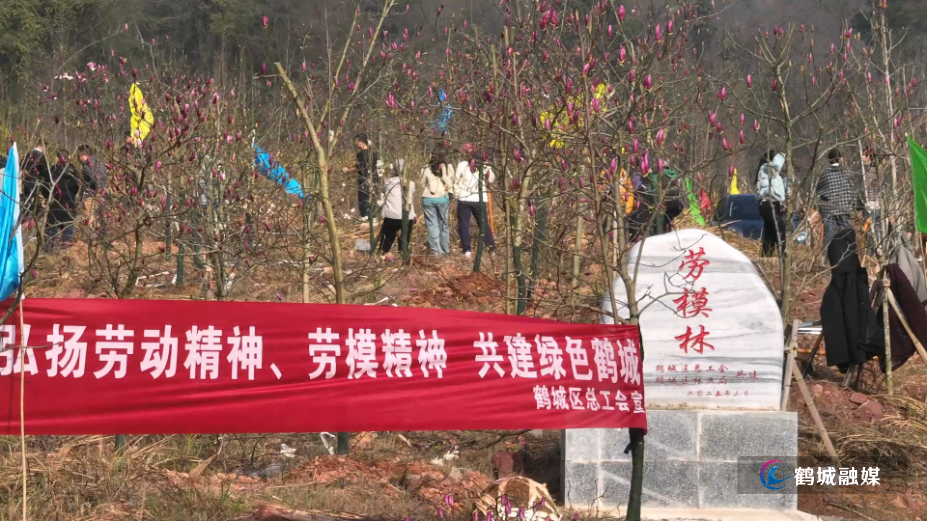 鹤城区：劳模共植“劳模林” 为绿色鹤城添新绿.mp4_000000.040.png