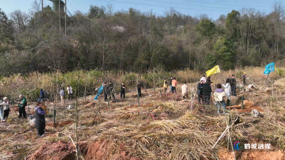 鹤城区：劳模共植“劳模林” 为绿色鹤城添新绿.mp4_000037.797.png