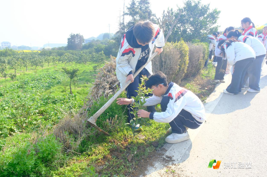 华韵实验学校1.png 华韵实验学校1.png