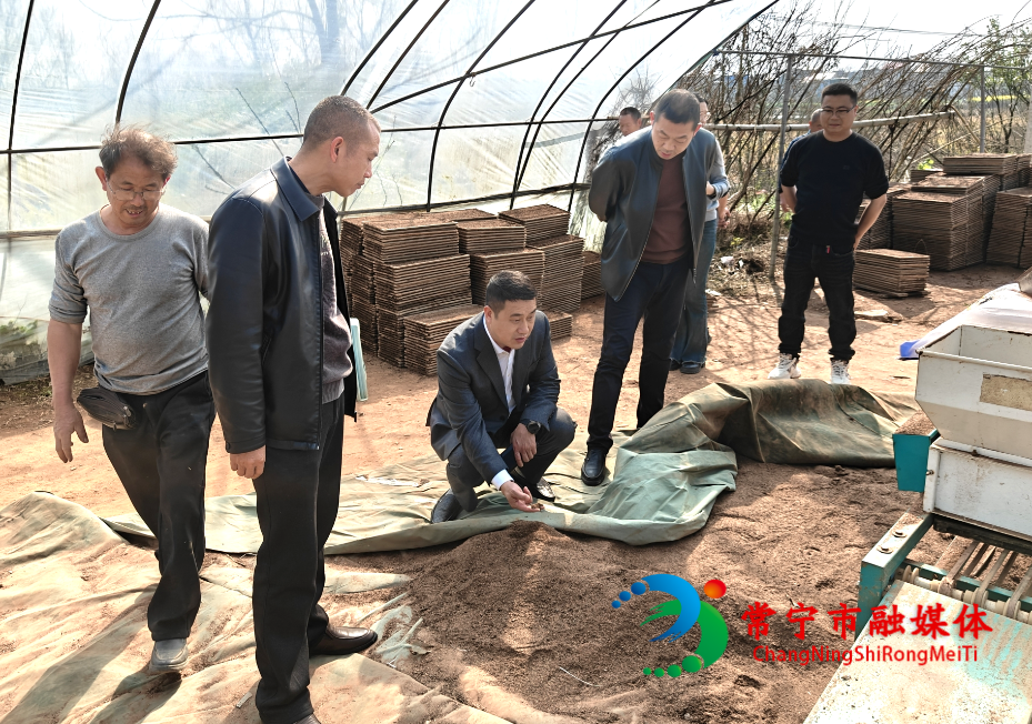 图片1_看图王.png 图片1_看图王.png