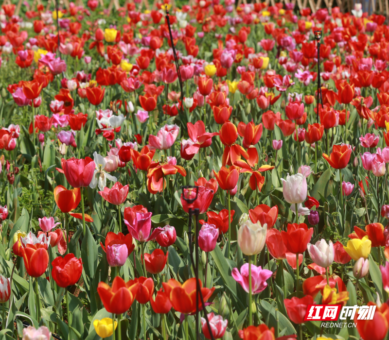 微信图片_20260313193739_2510_23.png 微信图片_20260313193739_2510_23.png