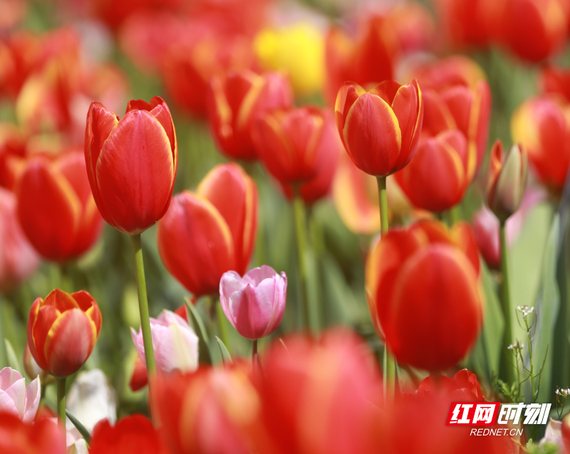 微信图片_20260313193823_2514_23.png 微信图片_20260313193823_2514_23.png