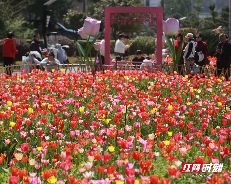 微信图片_20260313193838_2516_23.png 微信图片_20260313193838_2516_23.png