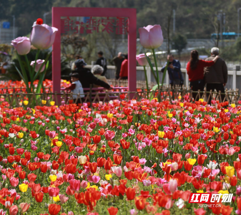 微信图片_20260313193847_2517_23.png 微信图片_20260313193847_2517_23.png