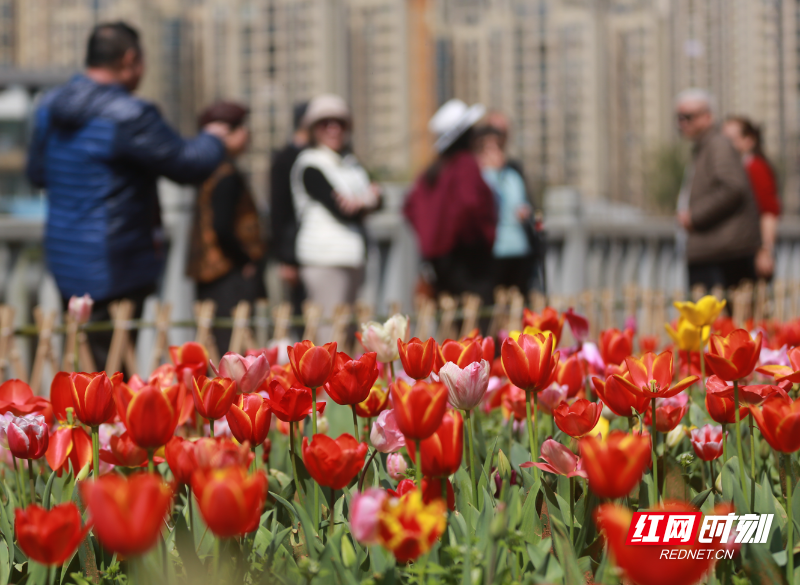 微信图片_20260313193855_2518_23.png 微信图片_20260313193855_2518_23.png