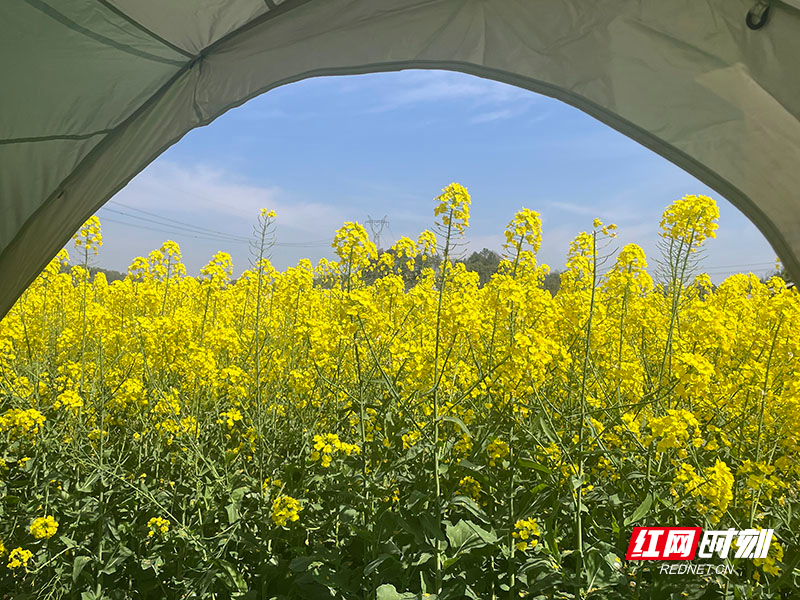 微信图片_20260313194442.jpg 微信图片_20260313194442.jpg