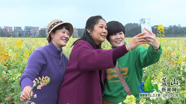 我县小村藏大美 七彩花海迎客来1.jpg