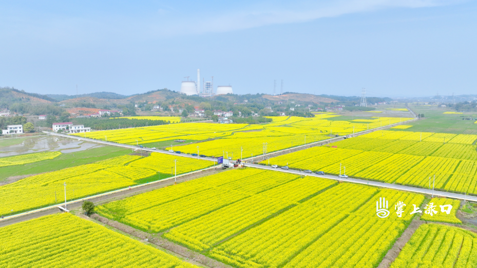 微信图片_20260315122320_388_98.png 微信图片_20260315122320_388_98.png