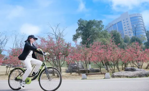 长在春风里 | 市民公园的“混血美人”“早春信使”“花贵妃”已上线，等你来赏~