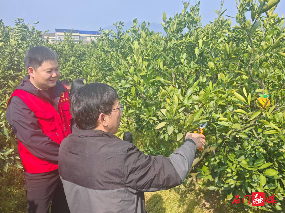 皂市2.png 皂市2.png