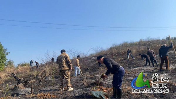 太平圩镇开展2026年义务植树活动2.jpg 太平圩镇开展2026年义务植树活动2.jpg