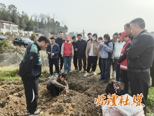 ScreenShot_2026-03-16_171909_115.png ScreenShot_2026-03-16_171909_115.png