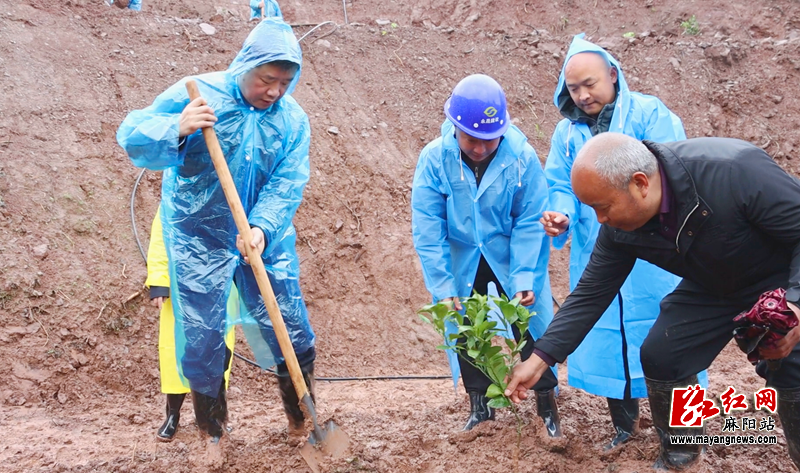 微信图片_2026-03-16_200121_012.png 微信图片_2026-03-16_200121_012.png