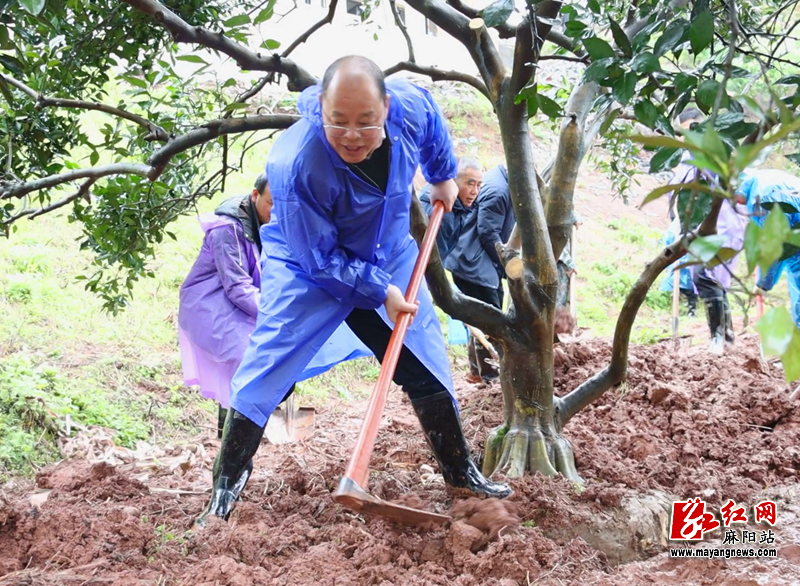 微信图片_2026-03-16_200127_527.png 微信图片_2026-03-16_200127_527.png