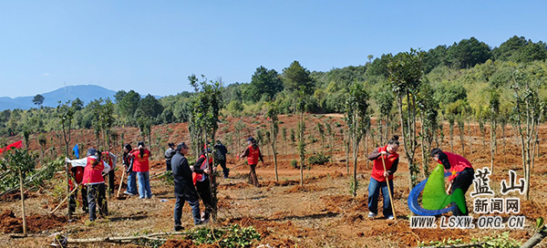 蓝山县委党校开展“党建领巾帼 春风植绿林”主题党日活动.jpg