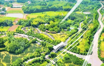 植树节·有声海报 | 奔跑在益阳的春光里