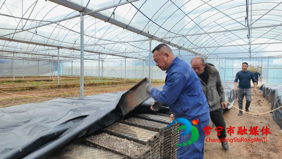 罗桥春 (2)_看图王.jpg