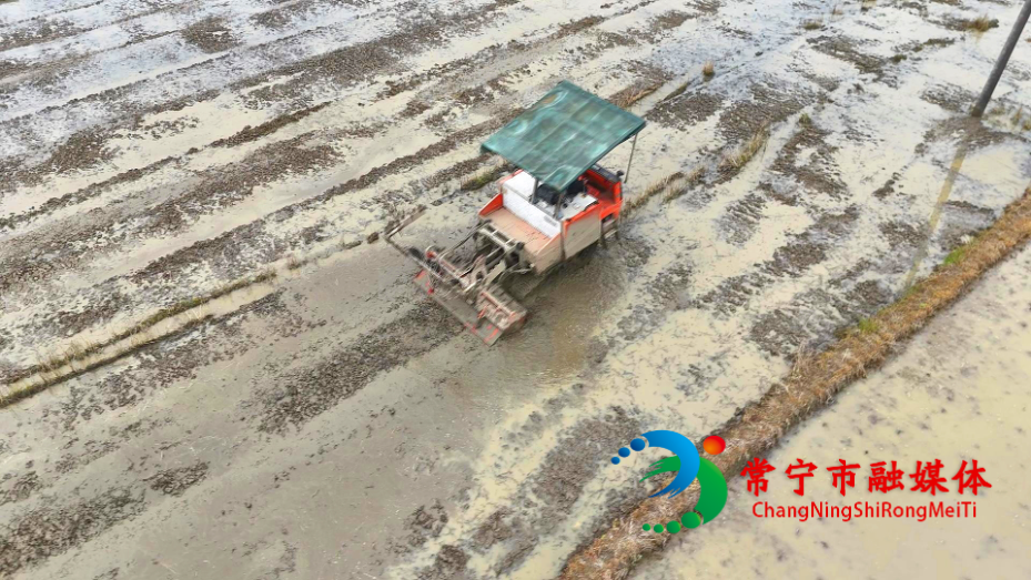 三塘春 (2)_看图王.jpg