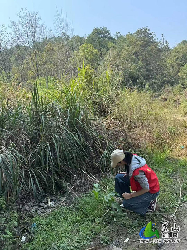 土市镇扎实开展春季禁种铲毒踏查行动.jpg