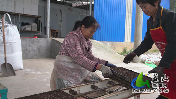 我县各地育秧工厂“马力足” 不负农时不负春2.jpg