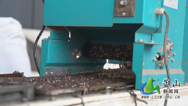 我县各地育秧工厂“马力足” 不负农时不负春1.jpg