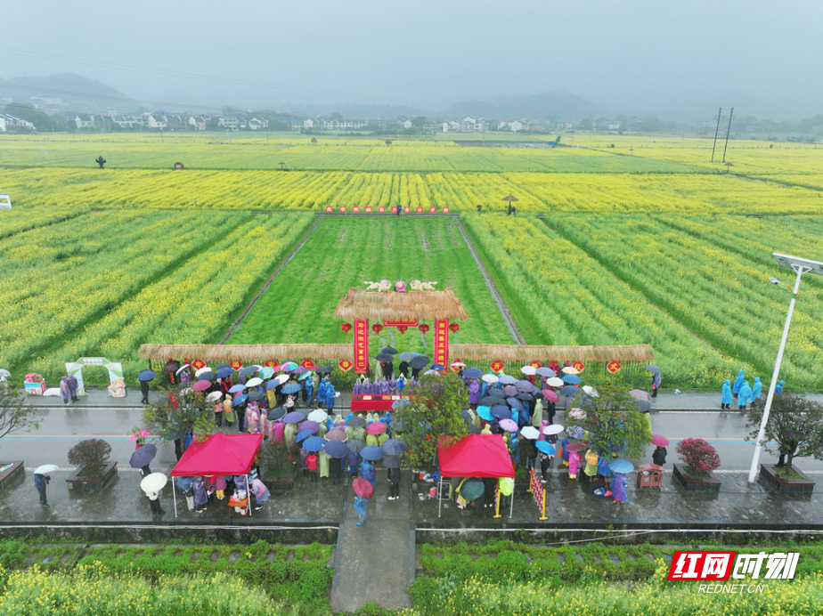 微信图片_20260320140305.jpg 微信图片_20260320140305.jpg