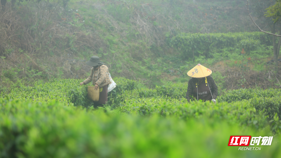 c950526f6804c31eb35c476d014bae65.jpg c950526f6804c31eb35c476d014bae65.jpg