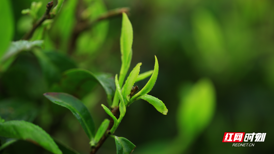 ce2519a8f4eb85d2c3f6cb384a02eece.jpg ce2519a8f4eb85d2c3f6cb384a02eece.jpg