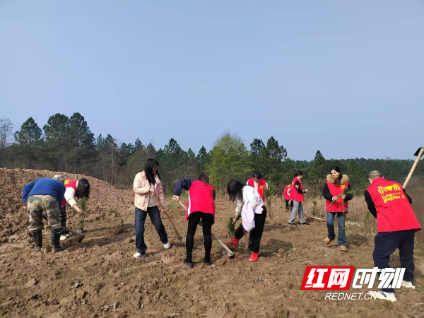 图片2.png 图片2.png