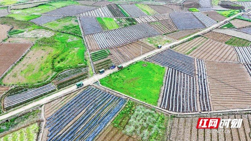 湖南新田:多彩田园如画卷01.jpg