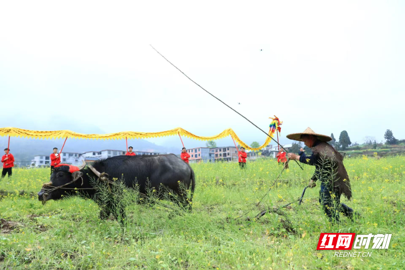 WechatIMG7269.jpeg WechatIMG7269.jpeg