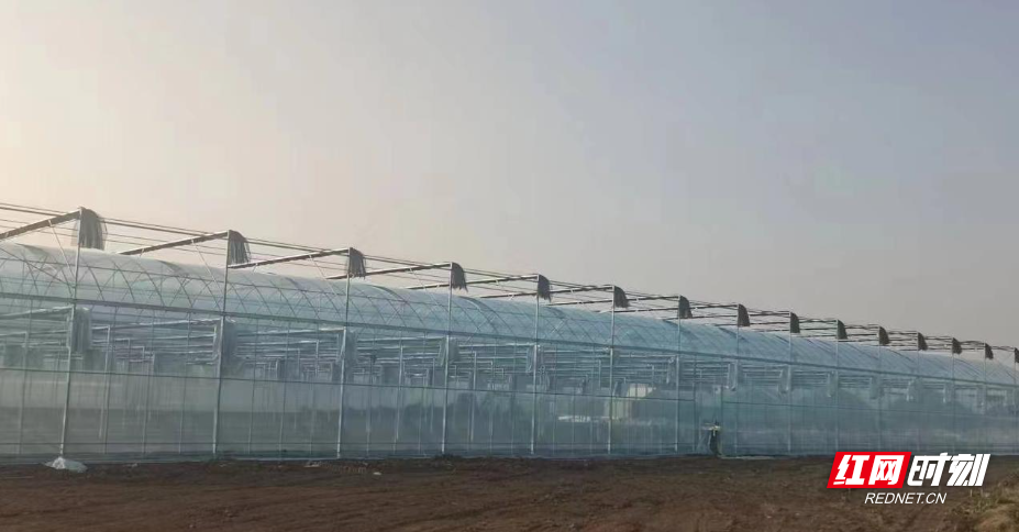 图片9.jpg 图片9.jpg