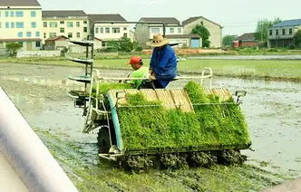 海报｜赫山春耕季 把希望“播”在春风里