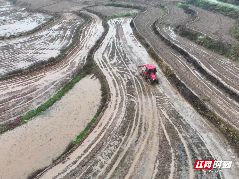 WechatIMG9924.jpg WechatIMG9924.jpg