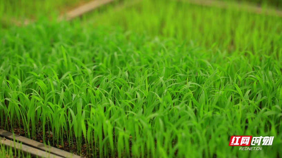 6a13964fa870eeb505aefd3aa5dbb46f.jpg 6a13964fa870eeb505aefd3aa5dbb46f.jpg