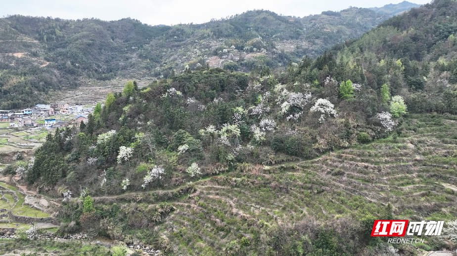 3月19日(23)_副本.jpg 3月19日(23)_副本.jpg