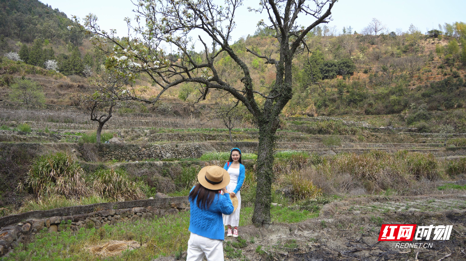 3月19日(28)_副本.jpg 3月19日(28)_副本.jpg