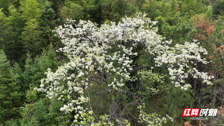 3月19日(26)_副本.jpg 3月19日(26)_副本.jpg