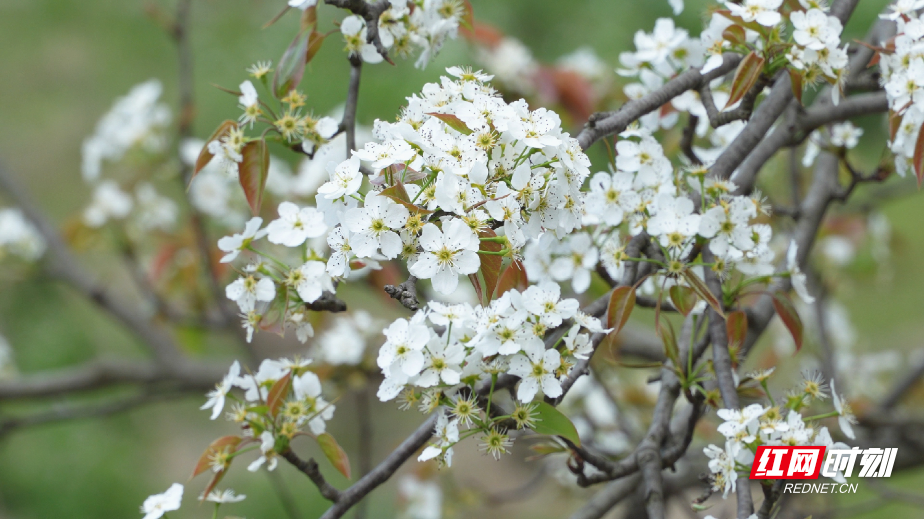 3月19日(31)_副本.jpg 3月19日(31)_副本.jpg