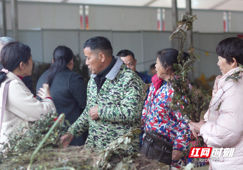 微信图片_20260320173203.png 微信图片_20260320173203.png