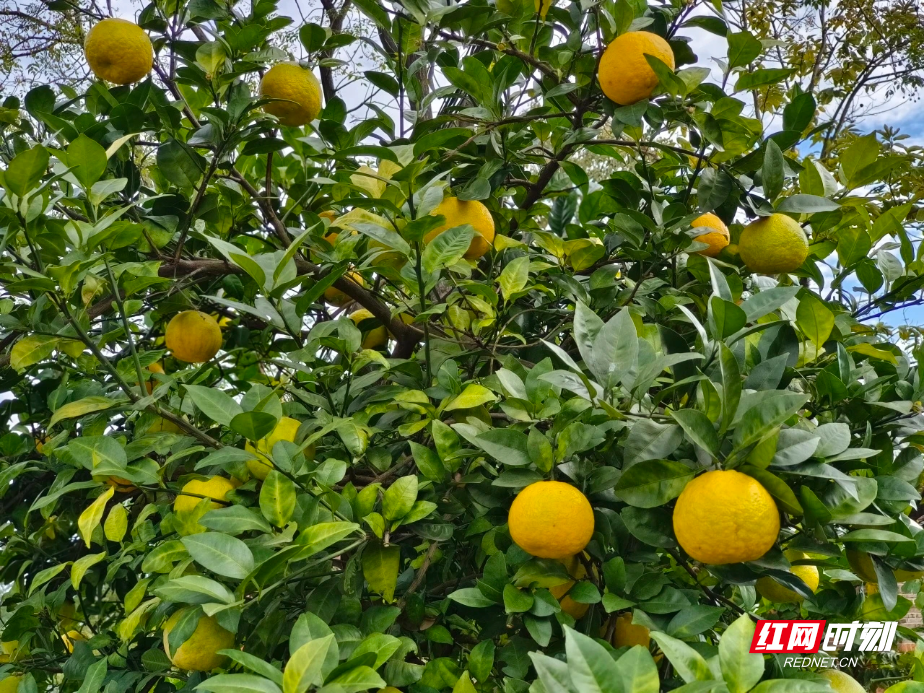 微信图片_20260320173509.jpg 微信图片_20260320173509.jpg