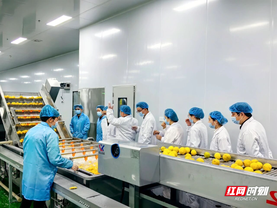 微信图片_20260320173716.jpg 微信图片_20260320173716.jpg