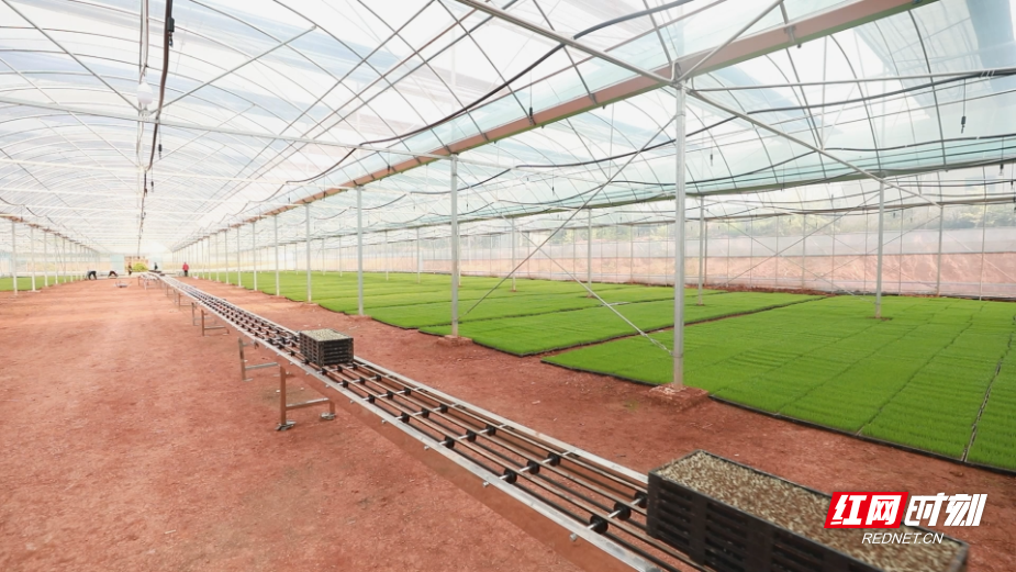 微信图片_20260321115226_3679_12.png 微信图片_20260321115226_3679_12.png