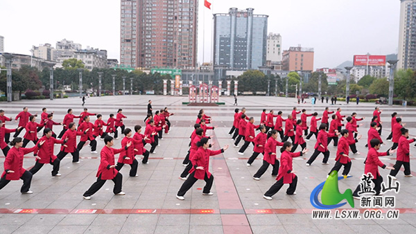我县举行2026年庆祝“国际太极拳日”展演活动.jpg