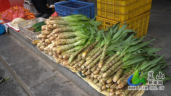 我县春菜抢“鲜”上市 餐桌迎来“春天的味道”2.jpg 我县春菜抢“鲜”上市 餐桌迎来“春天的味道”2.jpg