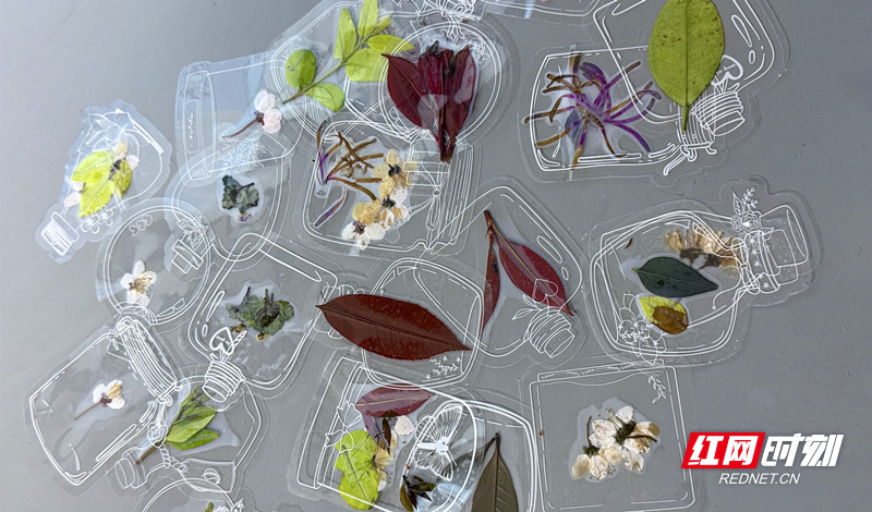 活动图片3.jpg 活动图片3.jpg