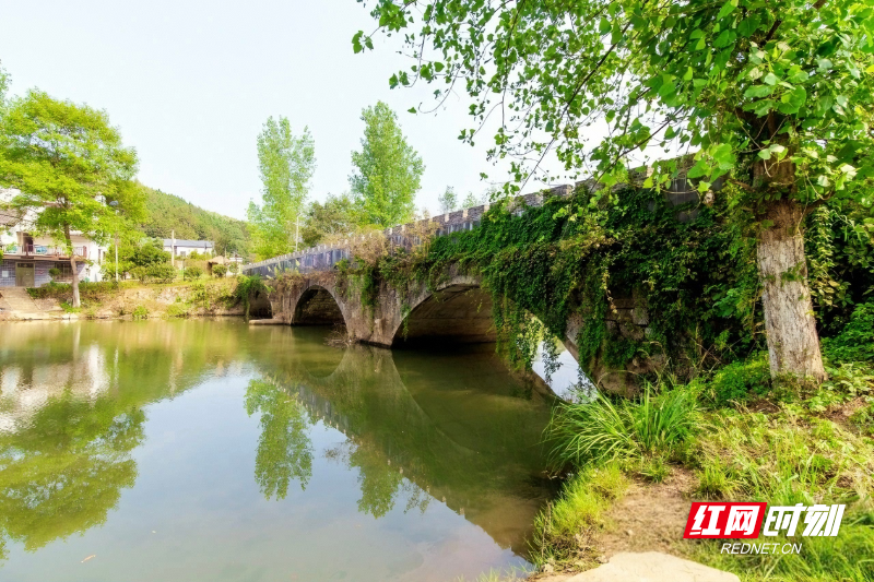 水安全4.png 水安全4.png