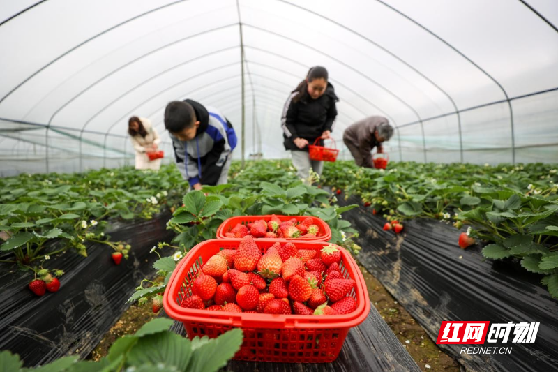 水安全5.jpg 水安全5.jpg